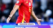 Merino, Swift Magazine