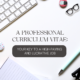Professional Cv, Swift Magazine